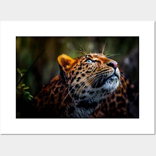 Beautiful Colorful Leopard Posters and Art